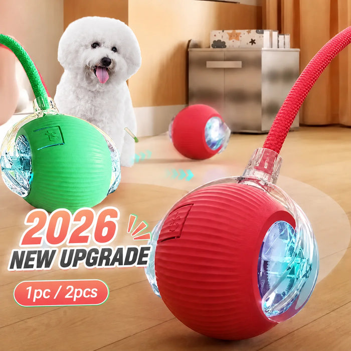 Rechargeable Interactive Rolling Dog Ball | Smart Automatic Dog Toy