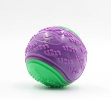 Interactive TPR Squeaky Dog Ball – Teeth Cleaning Chew Toy