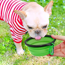 Portable Collapsible Silicone Pet Travel Bowl – Foldable Food & Water Bowl for Dogs & Cats (350ml