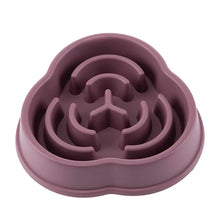 Slow Feeder Dog Bowl | Anti-Choking Non-Slip Feeding Bowl for Dogs & Cats