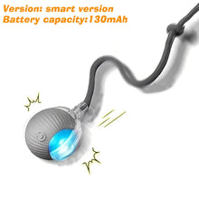 Rechargeable Interactive Rolling Dog Ball | Smart Automatic Dog Toy