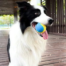 Interactive TPR Squeaky Dog Ball – Teeth Cleaning Chew Toy