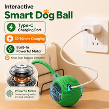 Rechargeable Interactive Rolling Dog Ball | Smart Automatic Dog Toy
