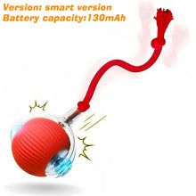 Rechargeable Interactive Rolling Dog Ball | Smart Automatic Dog Toy