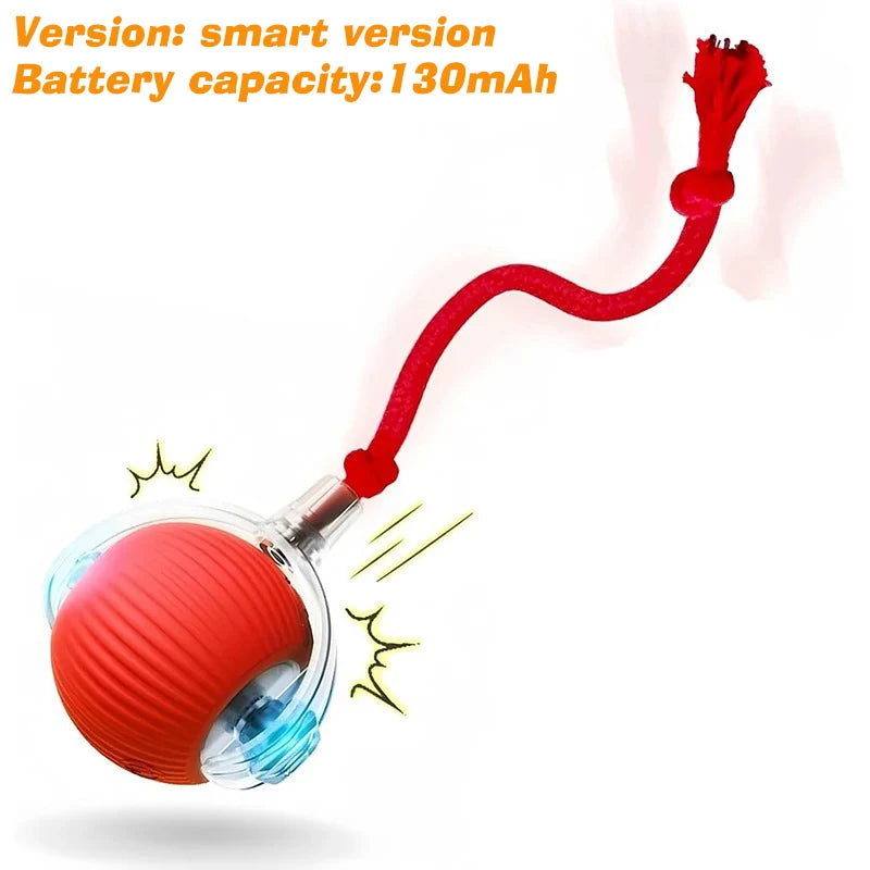 Rechargeable Interactive Rolling Dog Ball | Smart Automatic Dog Toy