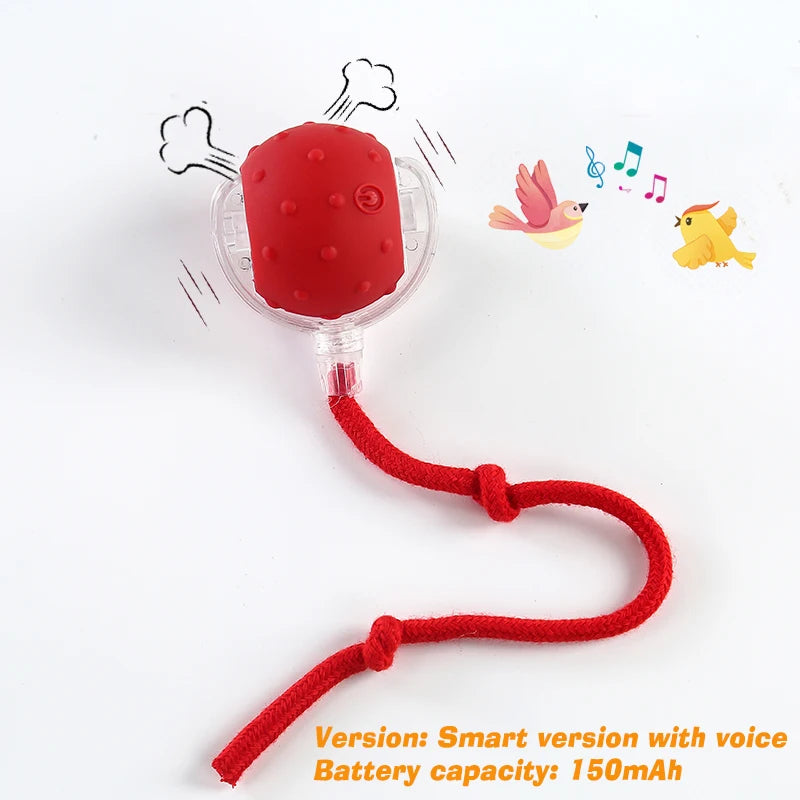 Rechargeable Interactive Rolling Dog Ball | Smart Automatic Dog Toy