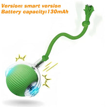 Rechargeable Interactive Rolling Dog Ball | Smart Automatic Dog Toy