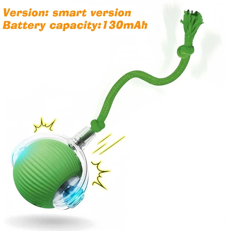 Rechargeable Interactive Rolling Dog Ball | Smart Automatic Dog Toy