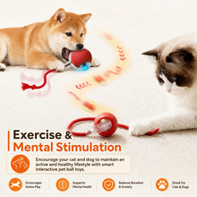 Rechargeable Interactive Rolling Dog Ball | Smart Automatic Dog Toy
