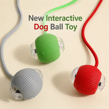 Rechargeable Interactive Rolling Dog Ball | Smart Automatic Dog Toy